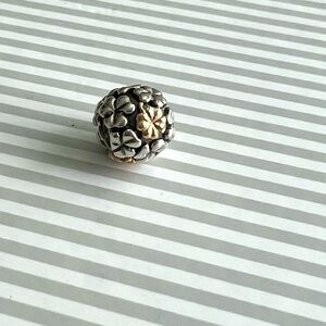 Pandora Charm